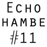 Echo Chamber #11