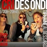 Le Cri des Ondes - Radio Campus Avignon - 31/01/2012