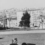 71. Program
