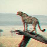 ky-podcast #104 - cheetah lounge