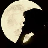 Le voci della notte
