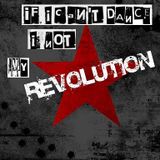 Radio Patchanka 07. February 2013 - For the Revolution