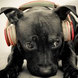 Roland Gaal - Party Beatz Vol 31