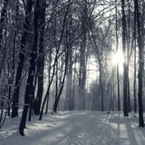 Winter feelings