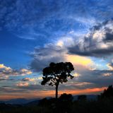 Mix Trance #117 (lenght : 1h59’)