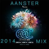 AAnster's EDC 2014 Mix
