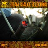 Steam Chalice selections pt. 2 - New Reggae Juggling Feb. 2013
