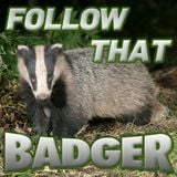 Follow That Badger