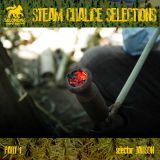 Steam Chalice selections pt.1 - New Reggae juggling Feb. 2013