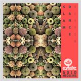 Estate - Slam Dance 11 (Gold Meddling DJ MIX)