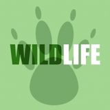 Vinyl Vinnie Presents A Wildlife Special