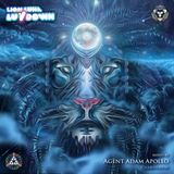 AAA - Lion Luna LuvDown - LIVE at Asheville Full Moon Gathering January 2016
