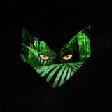 Deep Forest Part 2