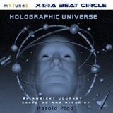 Holographic Universe