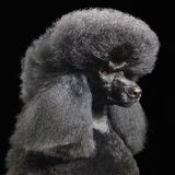 Invisible Jukebox on Shoreditch Radio: I Didn't Want To Let You Know