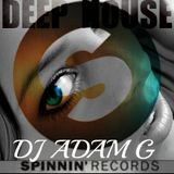 Deep House Sessions 05 Spinnin Records