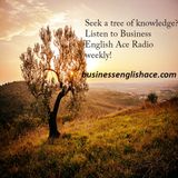 Business English Ace Radio - Episode 004
