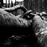 Afternoon, a story - Fase due (di due)