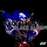 Black Album (Sonic the Hedgehog Edition) - Live Set - Dubstep