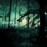 Black Sun Empire - From the Shadows (Continuous Mix)