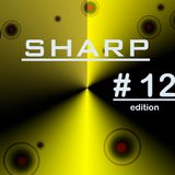 Flex B @ Radio Sharp 12