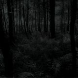 Shivers 2013.10.26