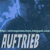 Mireuquinmusicon - Auftrieb Mix