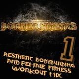 Aesthetic Bodybuilding and Aesthetics Female Fitness - Gym Workout Music Mix 1