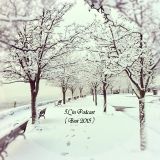 IL'in Podcast 2015