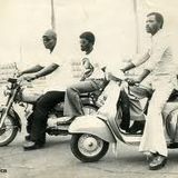 ROOTS FOR TROPICAL GROOVE