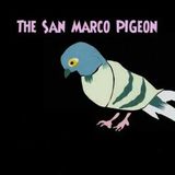 The San Marco Pigeon-Chickens In The Pot