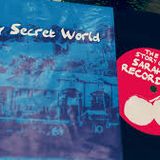 The Dreamland: a Tribute to Sarah Records