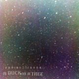 A Duck in a Tree 2014-11-15 | High Faults