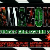 Hype w/ Fearless & Stevie Hyper D - Amazon Jungle Collection Vol 3 - One Nation, Wembley - 25.5.96