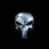 THE PUNISHER!!