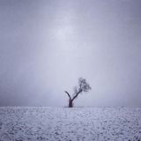 Herbstmelancholie Mix 2 (Trentemøller, I got you on tape, Nicolas Jaar) - September 2014