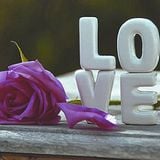 All About Love