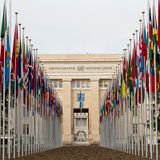 Universal values and rights