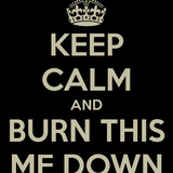 The Show Experience - Burn This MF Weed