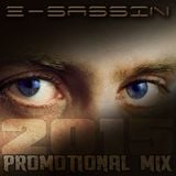 E-Sassin - Promotional Mix