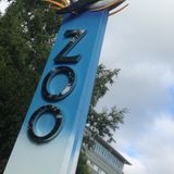 Inside the Zoo, History Pod.