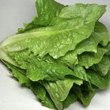 Salata de vara