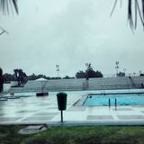 Dive (2013)