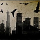 the birds mixtape