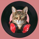 The Neighbours @ Cabaret Elèctric - iCatFM