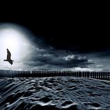 Dena Martínez.- Seagull-(original mix)