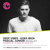 Deep Vibes - Guest Pascal Junior - 03.05.2015
