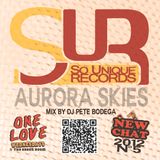 New Chat #5 - Aurora Skies Riddim Mix - DJ Pete Bodega