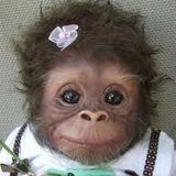 Monkey Time Radio Hour 02.24.2015