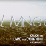 LIVING ON THE OVERGROUND PT.1